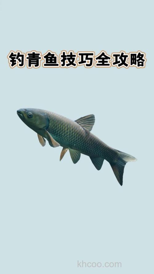 库钓青鱼必须掌握的六个技巧（上）