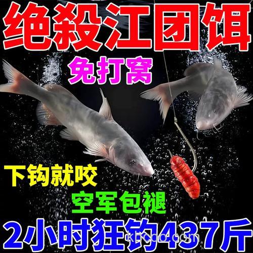 江鲶用什么饵料？