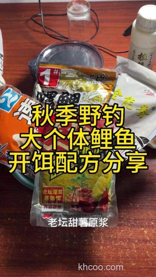 钓裸鲤饵料怎么塔配