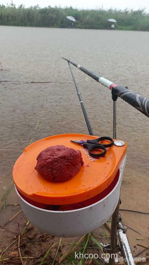 今天天气也不怎样，还下雨 自制饵料钓鲮鱼