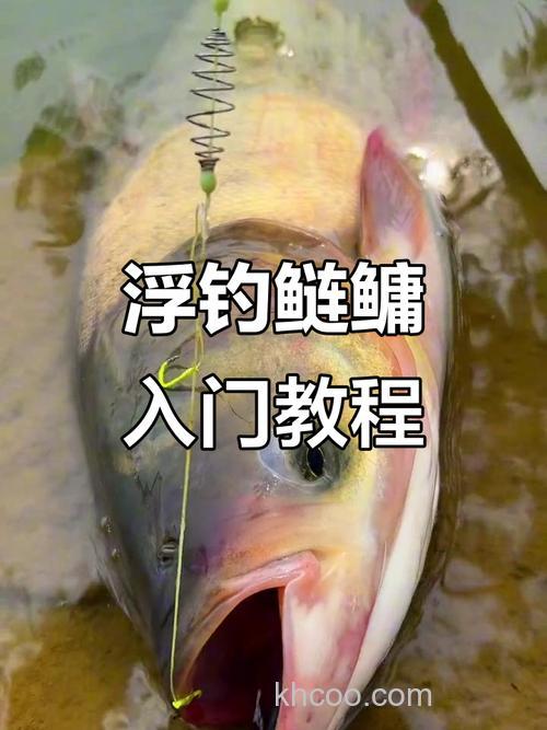 怎么钓大头鱼