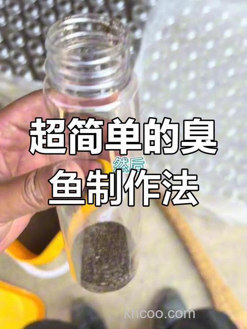 怎样自制强力诱饵钓鱼