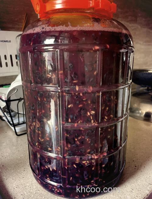 自制葡萄酒如何做鱼饵？