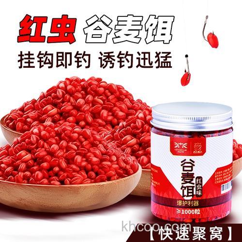 冬季麦子和玉米饵料那个好？