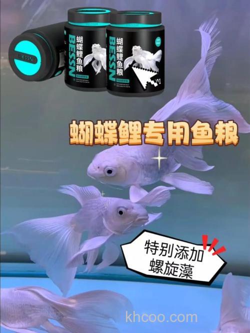 蝴蝶鲤自制鱼粮？