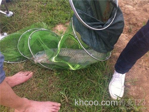 野钓青鱼遇无数次切线惨痛经历