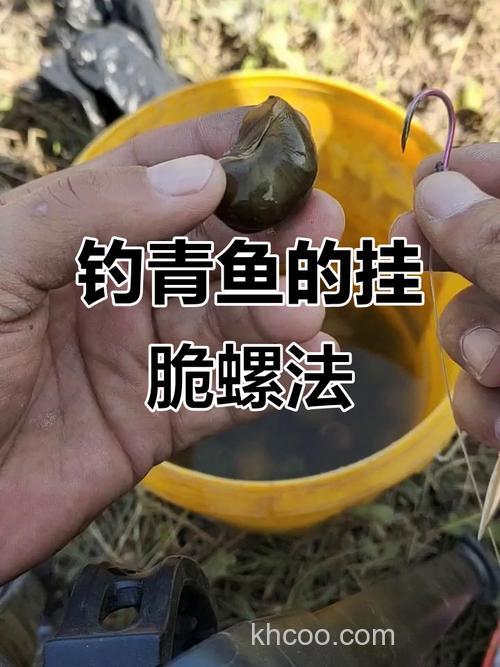 如何用螺丝饵料钓到青鱼（上）