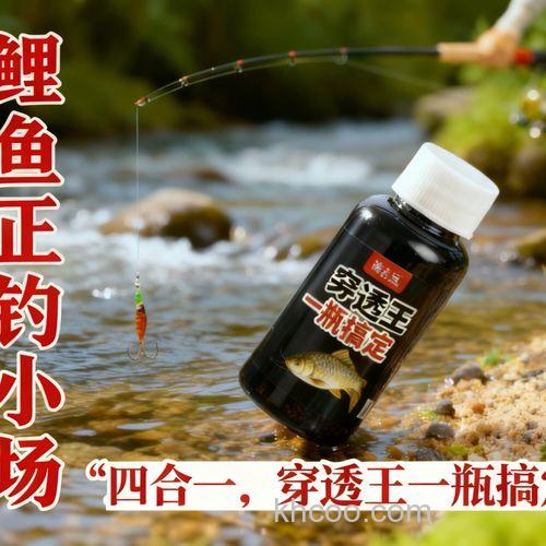 黑坑特效小药 钓鲤鱼聚鱼效果好的钓鱼小药？