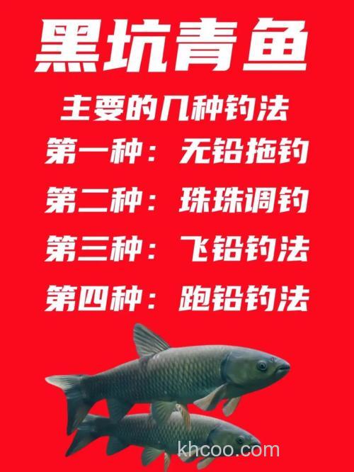 野钓青鱼用饵与钓法分享