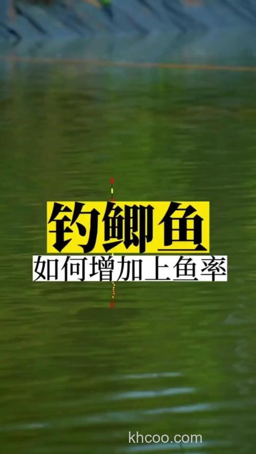 竞技台钓钓鲫鱼如何提高速度增加中鱼率