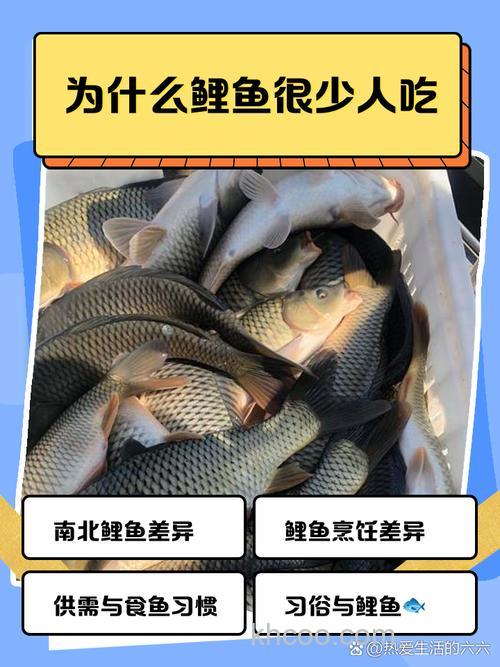 鲤鱼为什么不吃米饭？
