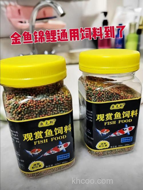 养殖鲤鱼用什么饲料？