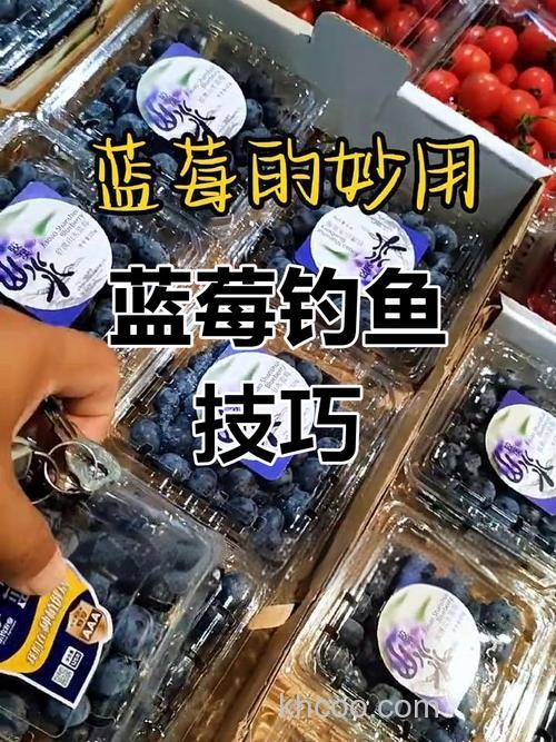 蓝莓钓鱼效果怎么样？