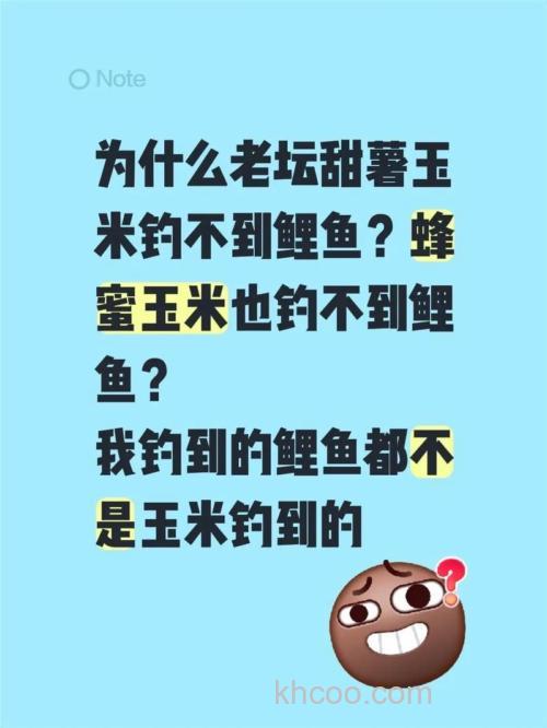 玉米钓鲤鱼为什么不吃？