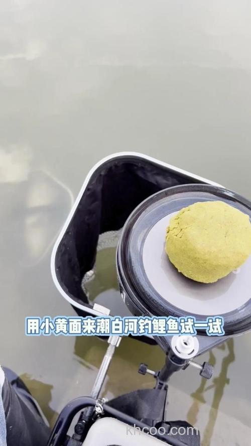 小黄面钓鲤鱼怎样搭配才能发挥作用？