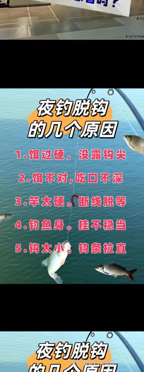 垂钓鲫鱼时鲫鱼脱钩的原因及对策(一)