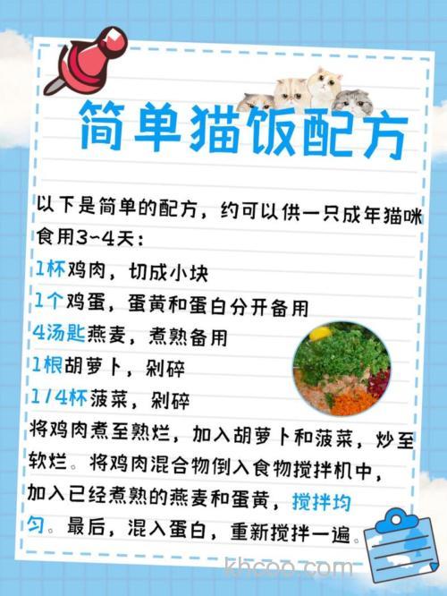 怎样自制猫粮？