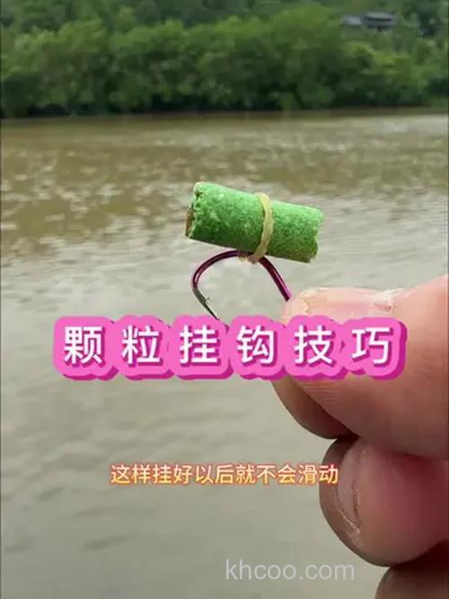 在赣江用矶杆串钩挂颗粒饵料怎样钓草鱼/？