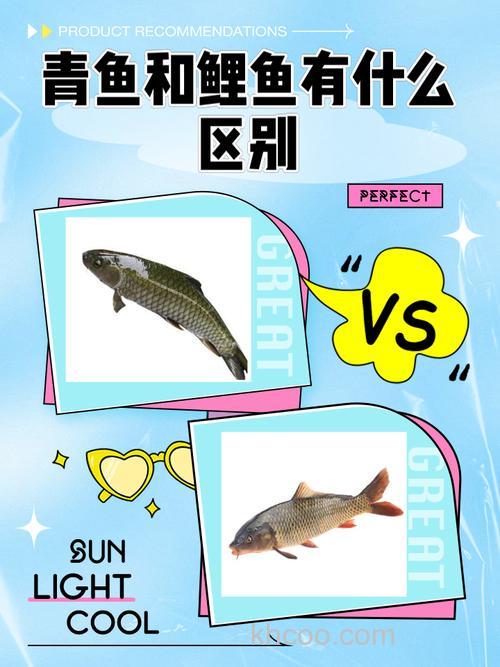 鲤鱼果酸和青鱼果酸有什么区别？