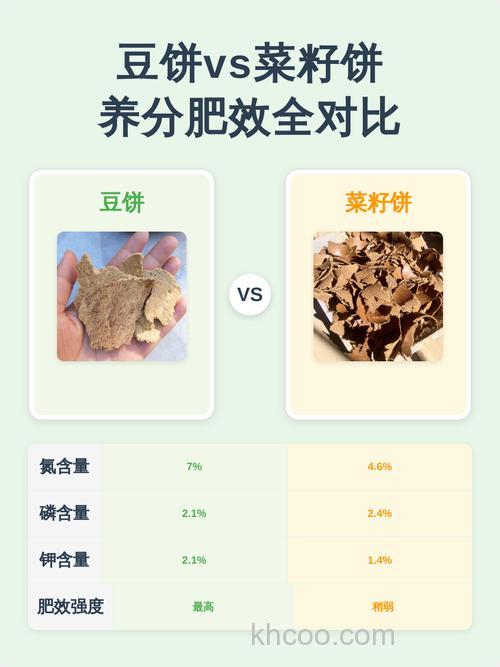 豆饼肥和菜籽饼肥有什么区别？