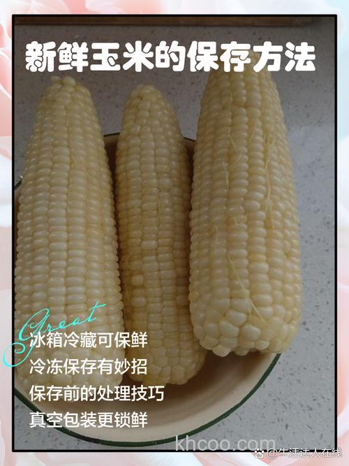 鲜玉米怎么保持=做什么窝料
