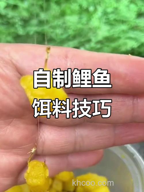 你们钓鲤鱼用玉米还是红薯，加什么没？