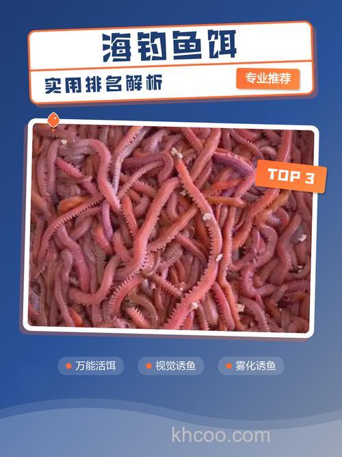 海钓饵料排名？
