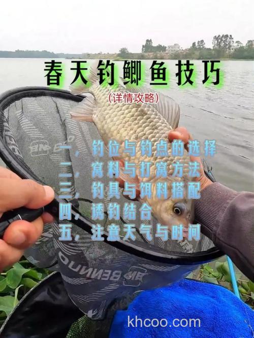 春季藕塘钓鲫鱼技巧分析