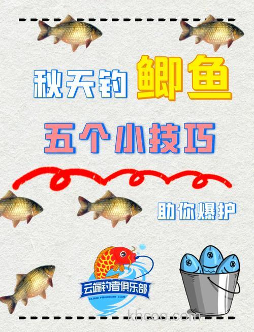 秋天怎么钓鲫鱼