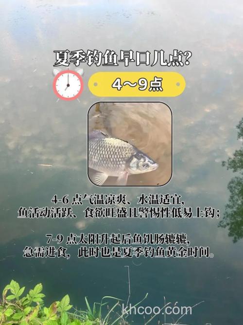 初夏藕湖钓鲫鱼技巧