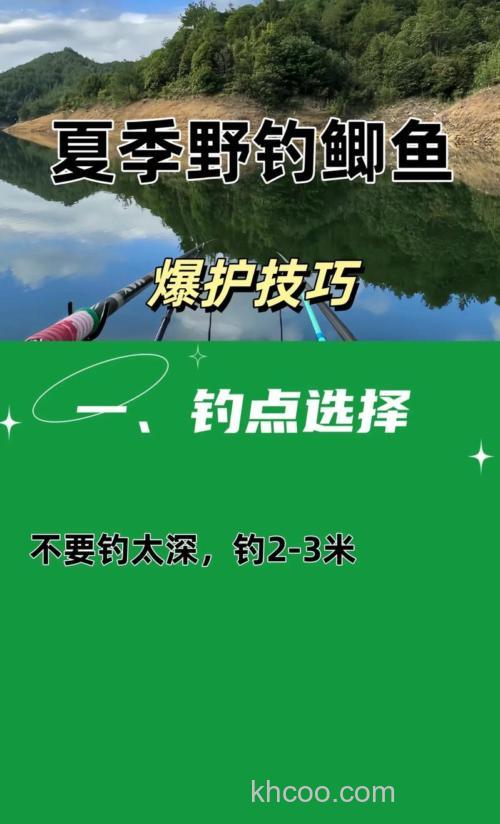 夏季夜钓鲫鱼的技巧