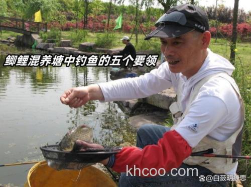 混合鱼塘怎么钓鱼？