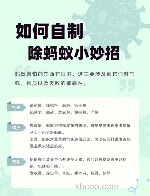 蚂蚁诱饵的作用？