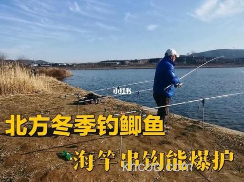 冬季北方海杆串钩钓鲫鱼决窍