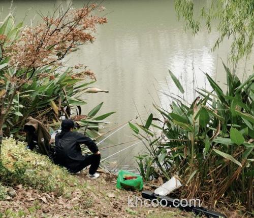 夏季钓鲫鱼钓浅钓草钓阴钓活