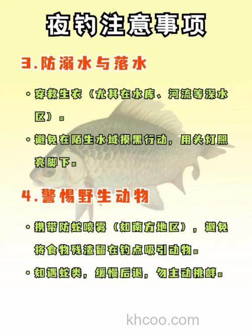 夜钓要注意什么