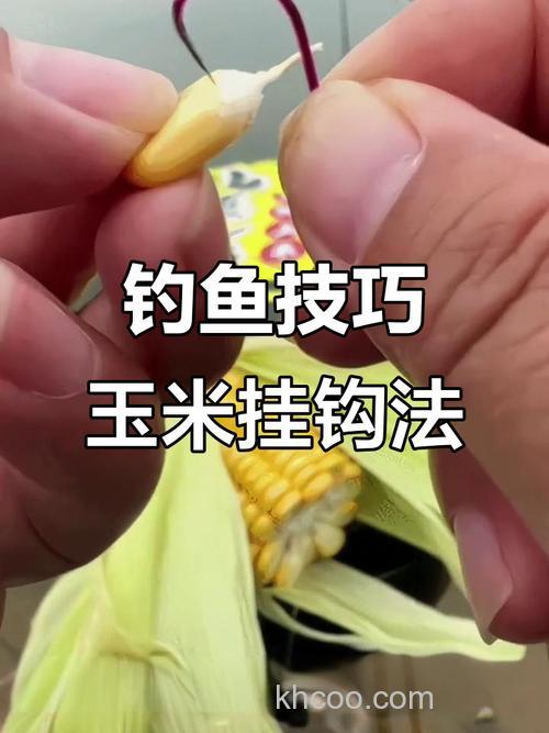 4月到5月用玉米粒怎样打窝钓鲤鱼，用啥子钓最好，打窝的玉米鲤怎样做？急需请教，谢谢。