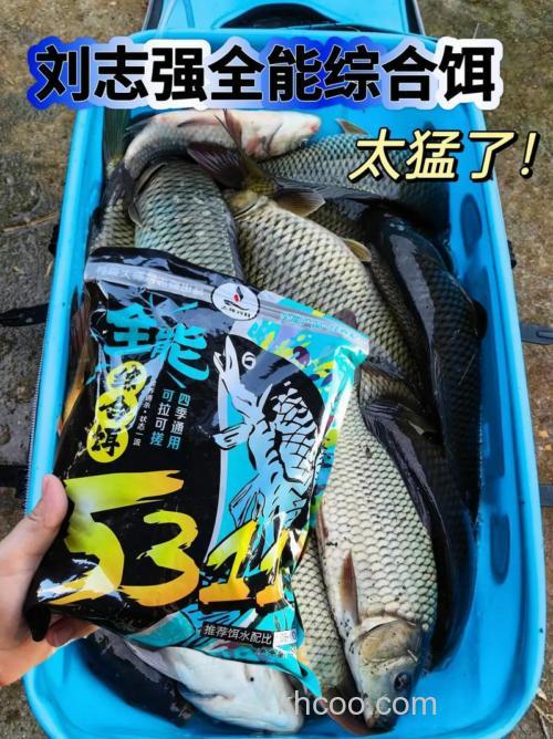 刘志强天天钓鱼钓鲈鱼用什么饵料