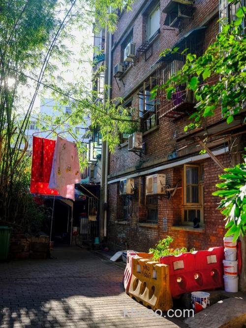 鲤鱼池社区地址在哪