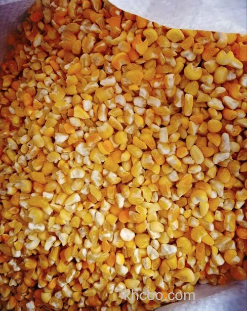 泡玉米窝料5斤玉米放多少酒曲？