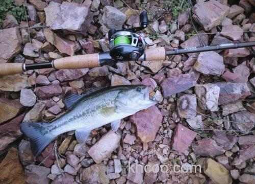 产籽期的鲈鱼怎么钓？