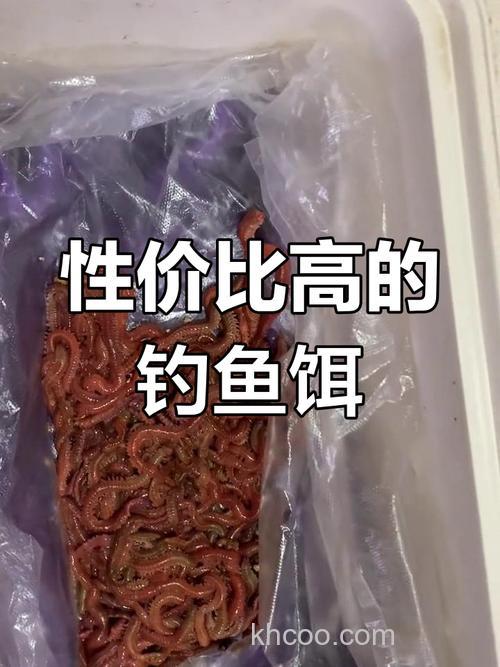 海杆钓鱼用什么诱饵？
