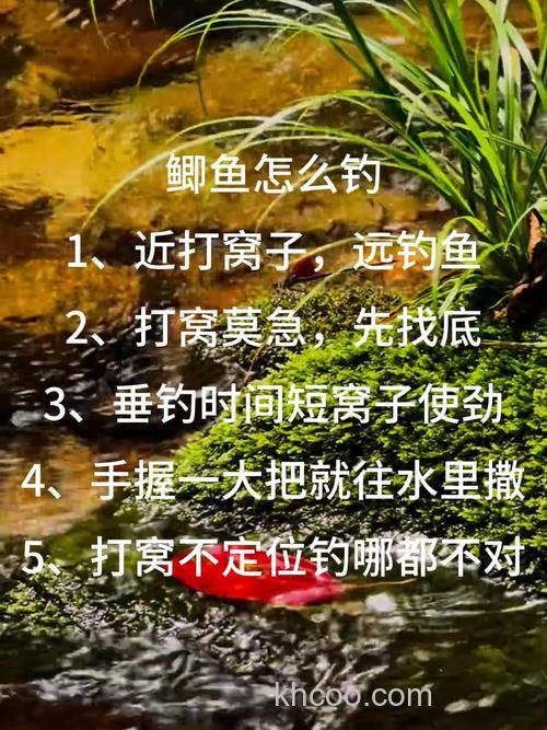池塘钓鲫鱼技巧