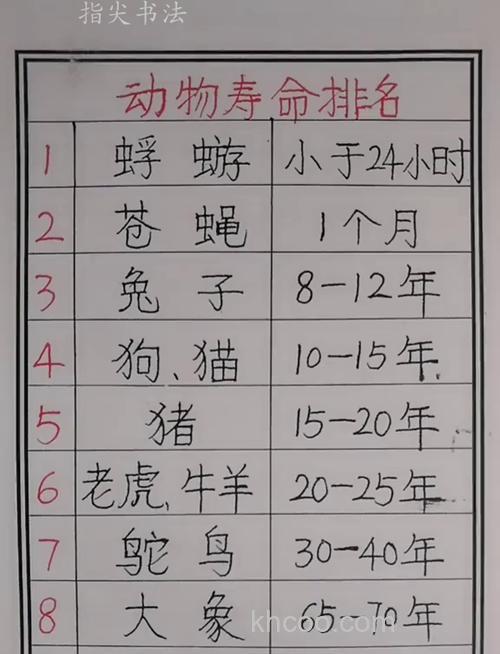 什么动物会活得久?