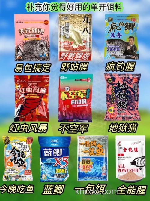 冬天什么饵料单开最好？