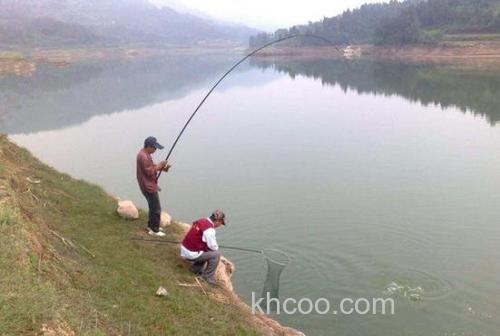 野钓鲤鱼选什么地形好