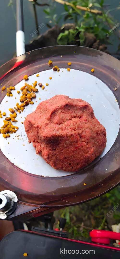 窝饵分离是什么意思？