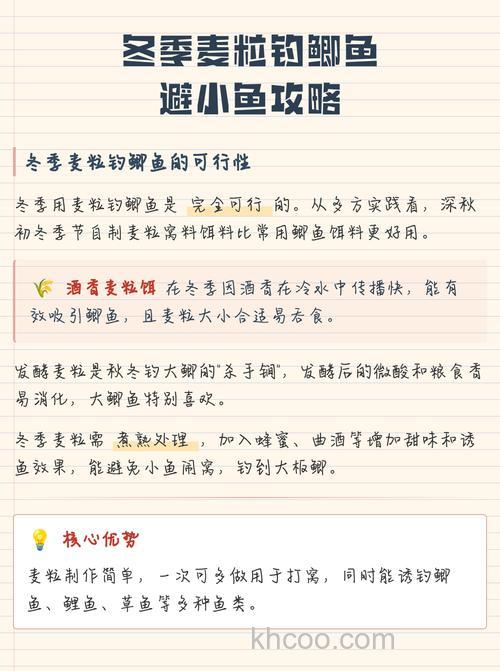 麦粒钓鲤鱼绝招？