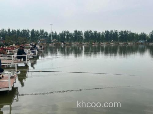 那里有钓鲫鱼的鱼塘