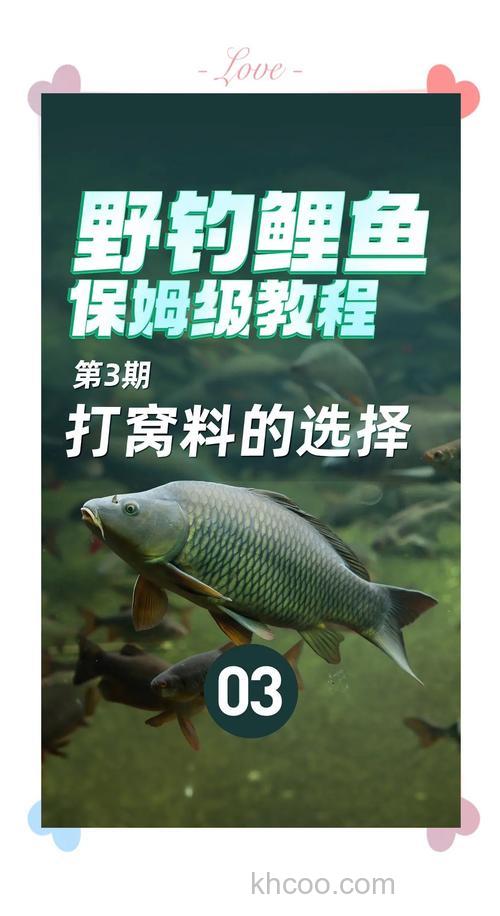 鲤鱼用玉米好还是商品饵好？